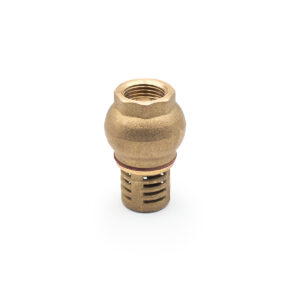 Brass Foot Valve