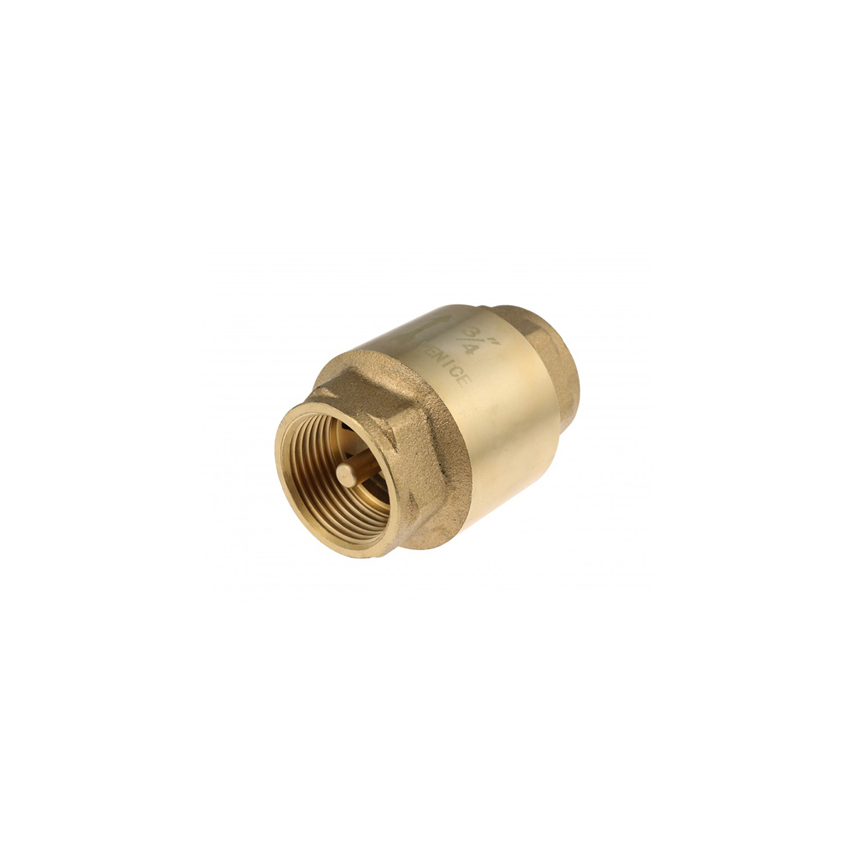 BRASS SPRING LOADED VALVE 1 | Warehouse Equipment Suppliers | West Coast Suppliers Brass Spring Loaded Valve