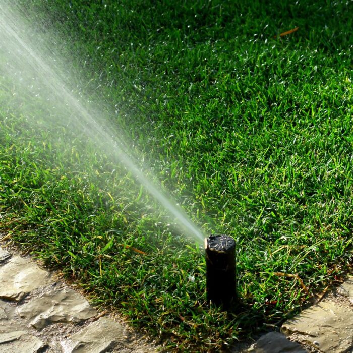 Drip Irrigation Accessories South Africa: What You Need for Efficient Watering 2 | Warehouse Equipment Suppliers | West Coast Suppliers drip irrigation accessories South Africa
