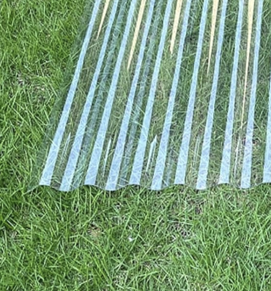 Polycarbonate Roof Sheets 2 | Warehouse Equipment Suppliers | West Coast Suppliers warehouse racking system optimization